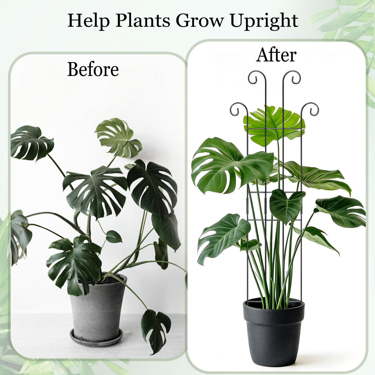 3 Set Tall Trellis for Potted Plants Indoor, 32'' Expandable Garden Metal Trellis for Climbing Plants Outdoor, Monstera Plant Support for Hoya, Vine, Ivy Pothos (Black)