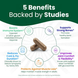 Beta Glucan Supplements 1000mg – 1,3/1,6D Beta Glucan Capsules for Immune Support – Natural Beta Glucans Fiber Supplement – 60 Veggie Capsules (60 Count, Unflavored)