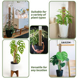 Jegu Self-Watering Moss Pole Plastic, 18.8 Inch Monstera Plant Support
