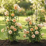 Thealyn 4 Pack 23 Inch Plant Trellis for Potted Plants