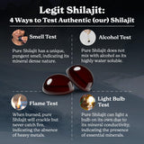 Better Alt Pure Himalayan Shilajit Gummies with 100% Shilajit |High Potency Gold Grade| 60 Gummies for Energy Boost & Immune Support, 75%+ Fulvic Acid| Travel Friendly - Tamarind Flavor