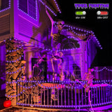 YEGUO Halloween Lights Battery Operated, 2 Pack Each 33ft 100 LED Purple String Lights Outdoor Waterproof, Green Wire Fairy Christmas Light Indoor with Remote