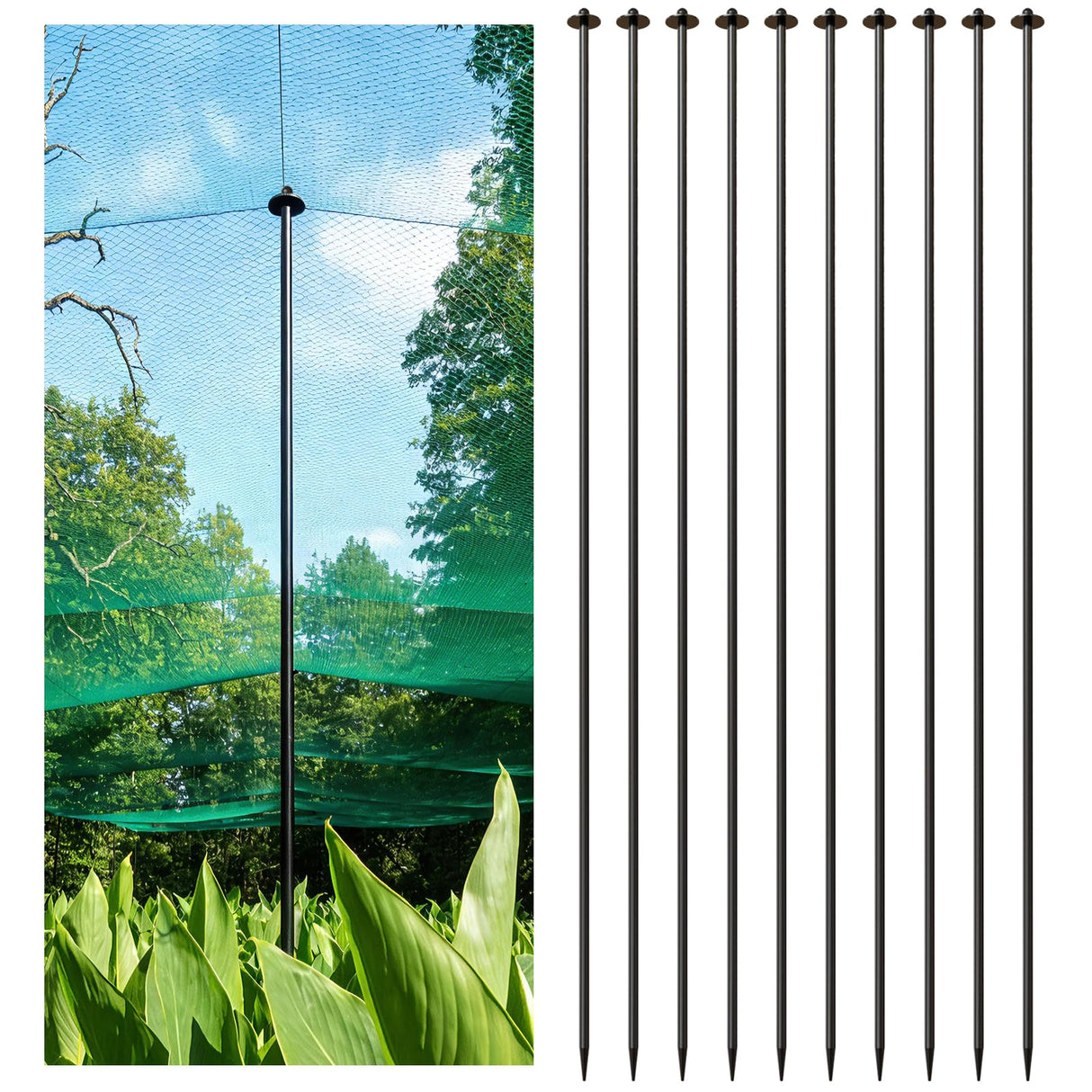 DOLEMODUO 72 Inch Garden Stake Netting Support, 10PCS Heavy Duty & Rust Proof Powder Coated Steel Plant Stakes for Garden Fencing, Plant & Crop Protection from Wildlife