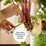 Gardyn Home 4 Vertical Hydroponics Growing System Kit - 30 Plants