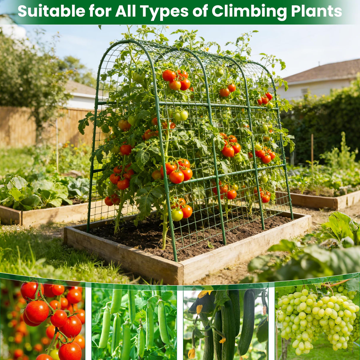 Cucumber Trellis for Raised Bed 48" L x 48" H U-Shape Garden Trellis for Climbing Plants Outdoor, Metal Arch Trellis for Vegetables, Plant Support for Tomato Pea Zucchini Grape Flowers