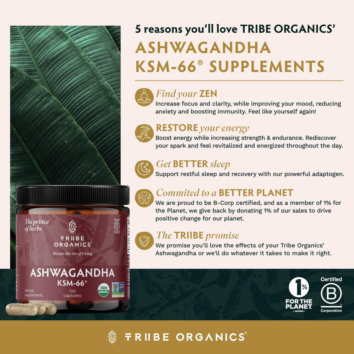TRIBE ORGANICS Ashwagandha KSM 66 Pure Organic Root Powder Extract Ayurvedic Supplement - Focus, Mood Support, Increase Energy, Strength, 600mg of Natural KSM66 for Superior Absorption - 120 Capsules