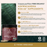 TRIBE ORGANICS Ashwagandha KSM 66 Pure Organic Root Powder Extract Ayurvedic Supplement - Focus, Mood Support, Increase Energy, Strength, 600mg of Natural KSM66 for Superior Absorption - 120 Capsules