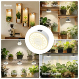 Barrina Orbgrow OG03C Rechargeable Puck Grow Light, 4000K, Cordless Full Spectrum Plant Light for Indoor Plants, Magnetic & Touch Switch with Timer, Small Grow Lamp for Plant Shelf, 1 Pack, White
