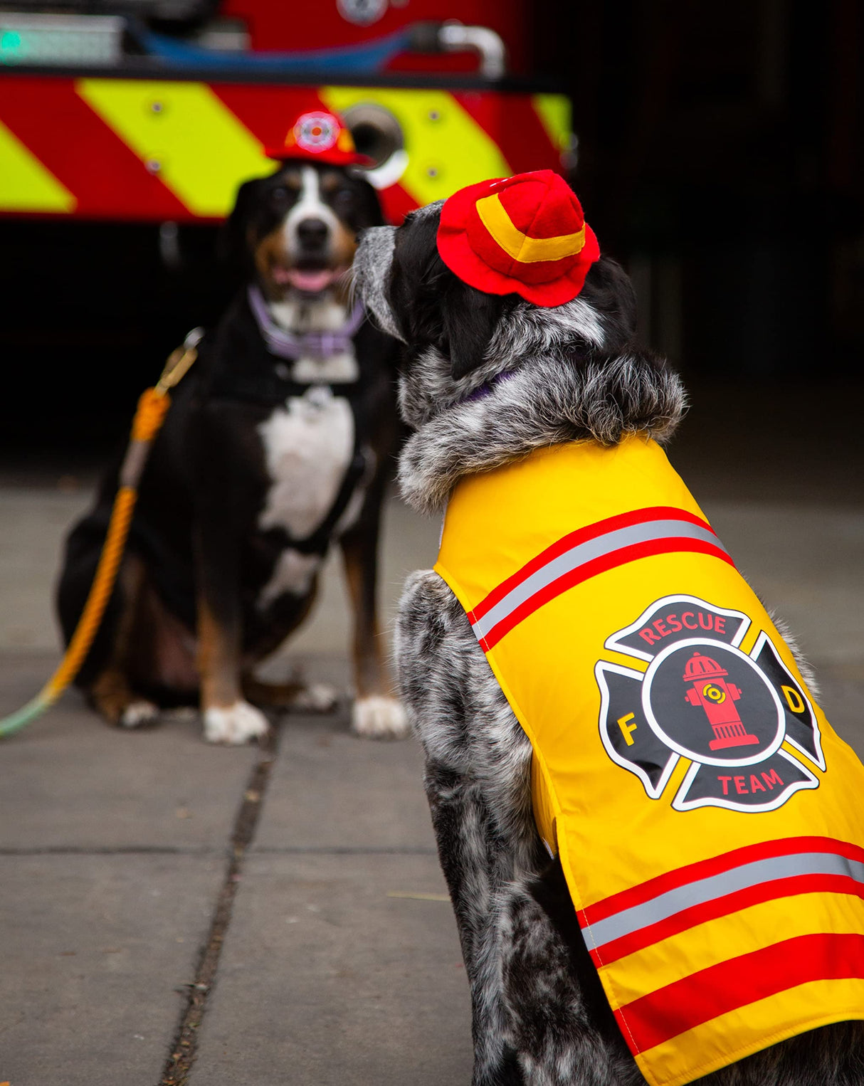 Pet Krewe Large Dog Firefighter Costume -Funny Halloween Pet Fireman Outfit Costumes for Fits Small, Medium, Large & Extra Large Pets - Perfect for Halloween, Christmas Holiday, Parties, Photoshoots