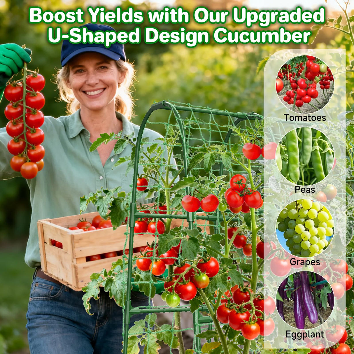Cucumber Trellis for Raised Bed, U-Shape Garden Trellis for Climbing Plants Outdoor, Metal Arch Trellis for Vegetables, Plant Support for Tomato, Pea, Zucchini(63" L×30" W×47.2" H-Large)