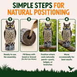 Dalen Lifelike Great Horned Owl Decoy Bird Repellent - 16in Hand-Painted Scarecrow for Gardens & Rooftops, Bird Deterrent, Fixed-Head Design, Fill Base with Sand/Gravel Only - Multicolor