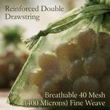 300 Pcs Fruit Protection Bags, 8x12 Inch Green Garden Mesh Bags for Grapes & Fruit Trees, Breathable Organza Netting Cover Bags for Grapes, Tomatoes, Mangos & Vegetables
