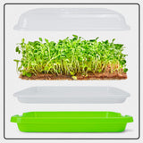 Microgreens Growing Trays with Lids and Coconut Fiber Mat,Seed Sprouter Tray with Drain Holes,Seed Starter Tray Reusable,Microgreens Growing Trays,Cat Grass Growing Kit for Indoor Cats (Pack 3)
