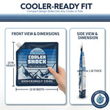 Cooler Shock 4-Pack Mid-Size 10x10 Reusable Ice Packs - Freezes to 18°F / -8°C - Long Lasting Freezer Packs for Coolers and Lunch Boxes - Camping, Fishing, Road Trips, Beach