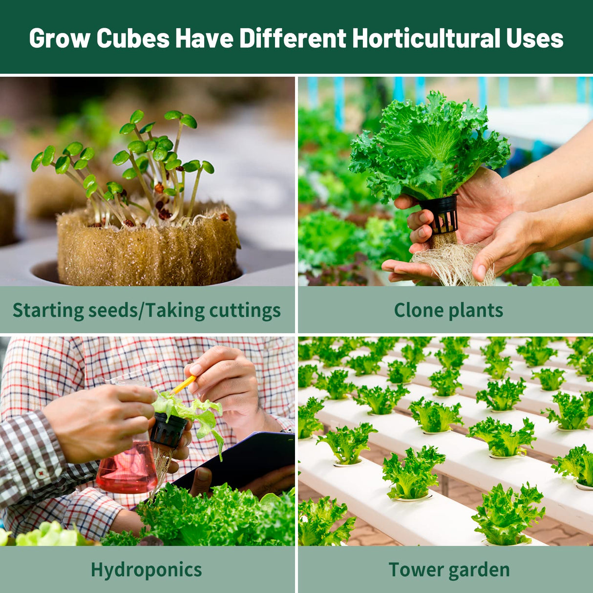 Jowlawn 1" Rockwool Cubes for Hydroponics 200 Plugs with 50 Pack 1.5 inch Net Pots Hydroponics Supplies Cups for Rooting, Clone Plants, Starting Seeds, Ideal Rockwool for Hydroponic Growing