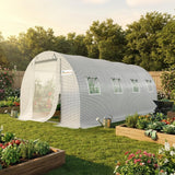 KING BIRD Premium 20x10x6.6FT Greenhouse for Outdoors, Large Walk-in Upgraded Galvanized Metal Frame, Mesh Door Screen Window Improved Zipper Tunnel Hoop for Garden Plant Winter, 2 Stiffeners, White