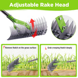 WORKPRO Thatch Rake, 15-Inch Thatching Rake for Lawns with 5FT Handle