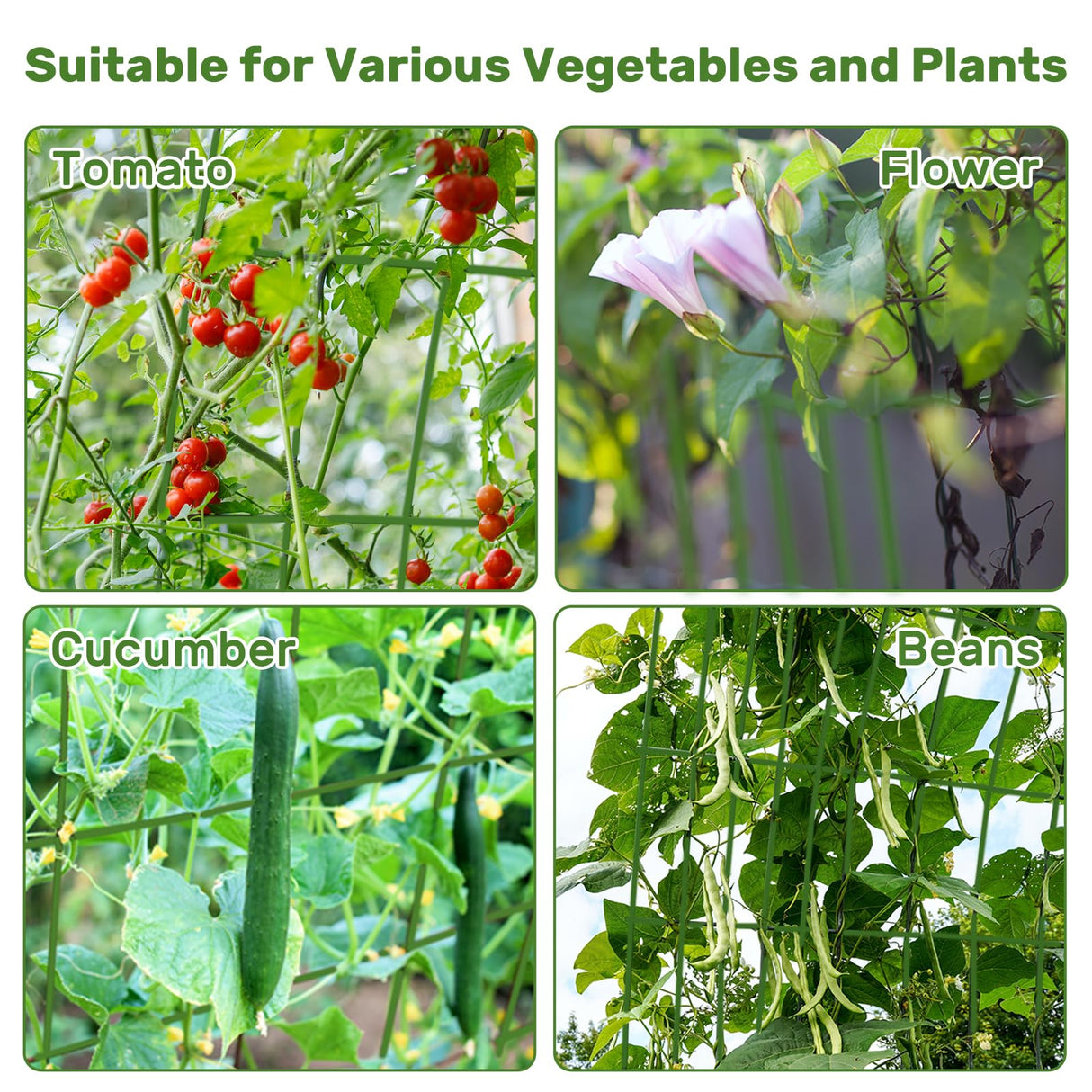 DOEWORKS 48" Cucumber Trellis, 2-Pack, Foldable, for Cucumbers, Beans, Tomatoes, Flowers
