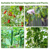 DOEWORKS 48" Cucumber Trellis, 2-Pack, Foldable, for Cucumbers, Beans, Tomatoes, Flowers