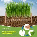 Cat Grass Kit for Indoor Cats - 3 Pack with Cat Grass Seeds, Nutrient Soil & Planter Pots | Complete Growing Set for Fresh Pet Grass (Non-GMO Wheat Grass)
