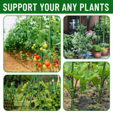 Fabulas Garden Stakes 4Ft, 28 Pack 48 Inch Plant Tomato Stakes and Supports Sturdy Plastic Coated Metal Garden Support Stick for Outdoor Indoor Climbing Plants, Beans, Vegetables, Trellis, Tree