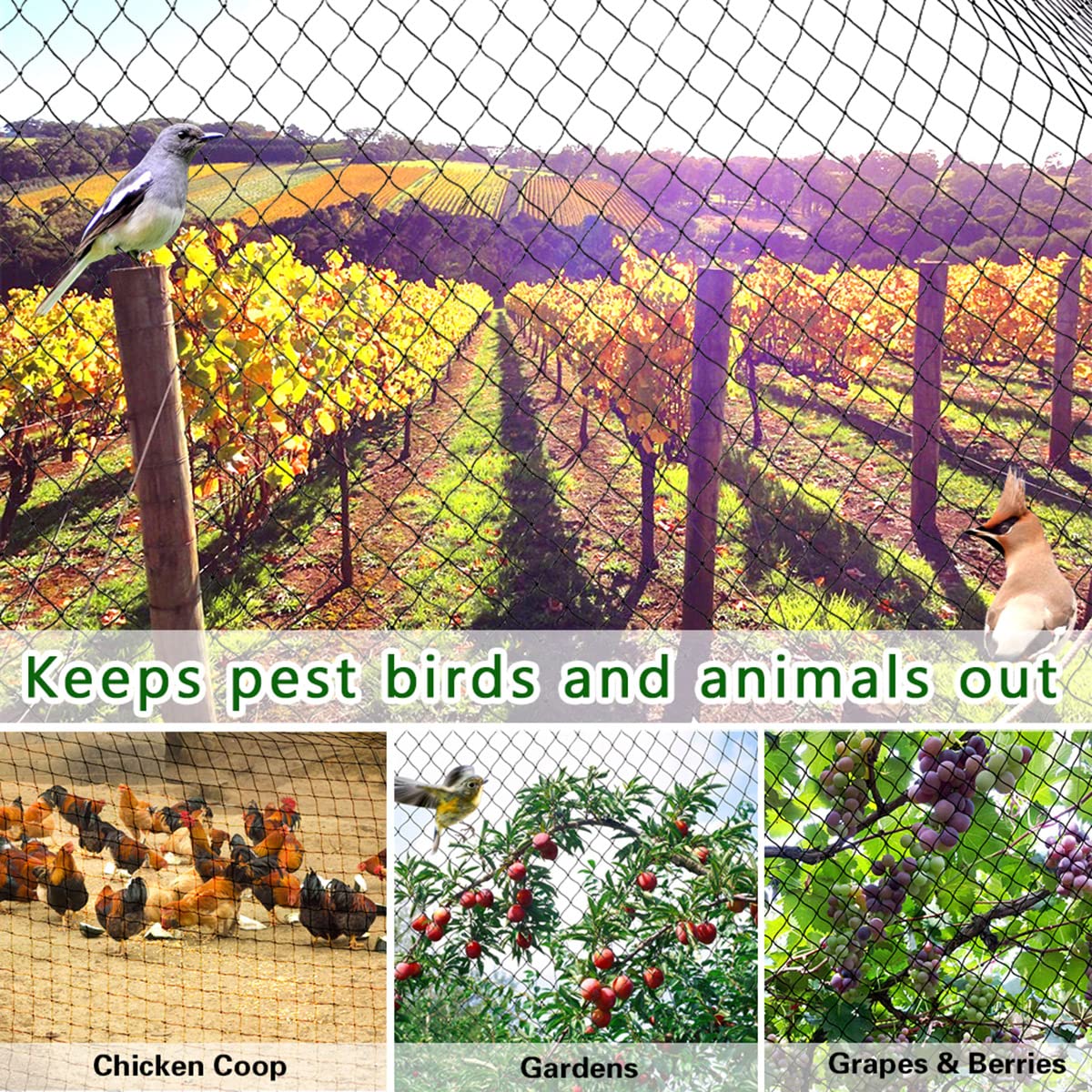 OGORI 25' x 25' Bird Netting Heavy Duty Nylon 3/4" Mesh Garden Netting Protect Fruit Trees, Plants and Vegetables