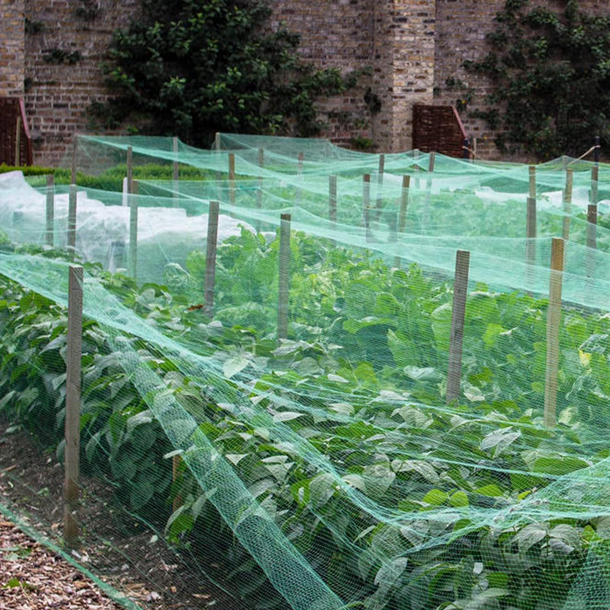 Anti Bird Netting for Garden Woven Mesh - Heavy Duty Protect Plants and Fruit Trees from Rodents Birds Deer Poultry Reusable and Doesn't Tangle (19.5 ft x 40 ft)