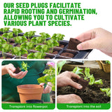 LAPOND 50 Pcs Seed Starter Plugs,Replacement Root Grow Sponges Plant Plugs,Great for Soil, Tray or Planting Pods, Promotes Herbs, Vegetables and Flowers Growth