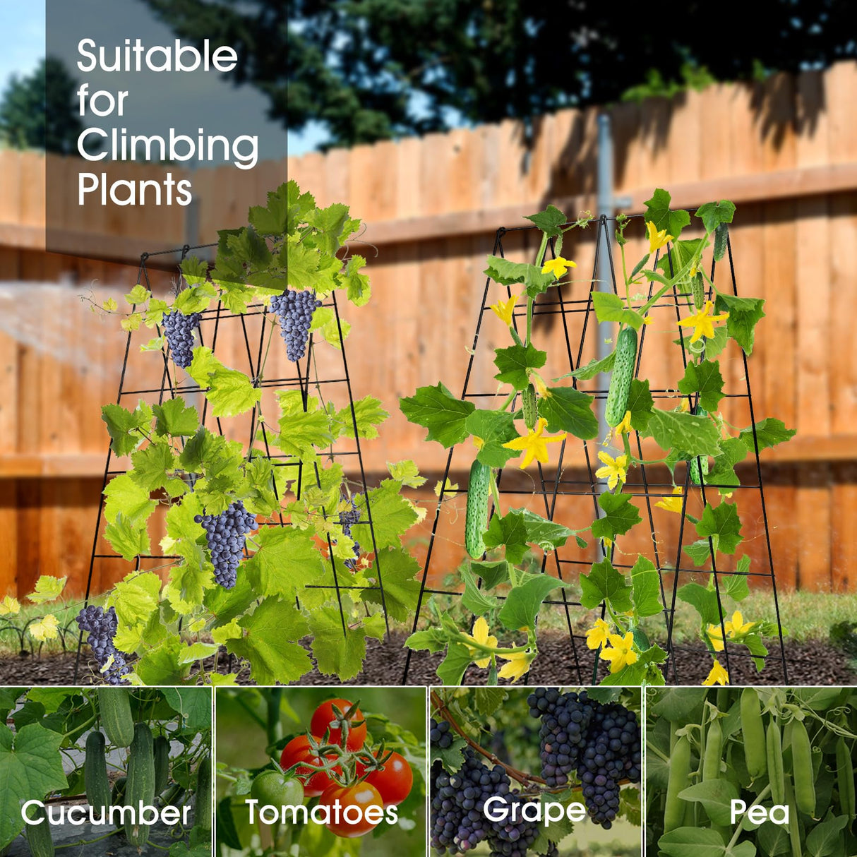 RIFNY Cucumber Trellis for Raised Bed, Garden Trellis 16.5 x 40 Inch, Black