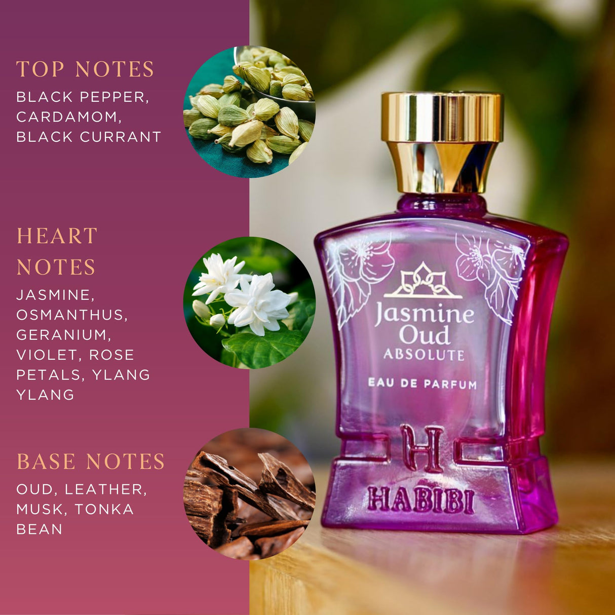 H HABIBI Jasmine Oud Absolute Arabian Oud Perfume for Women, Floral Long-Lasting Cologne For Women - Eau de Parfum (2.5 Oz) Oud Woody & Musk Perfume With Notes of Leather, Violet, Rose, & Tonka Bean