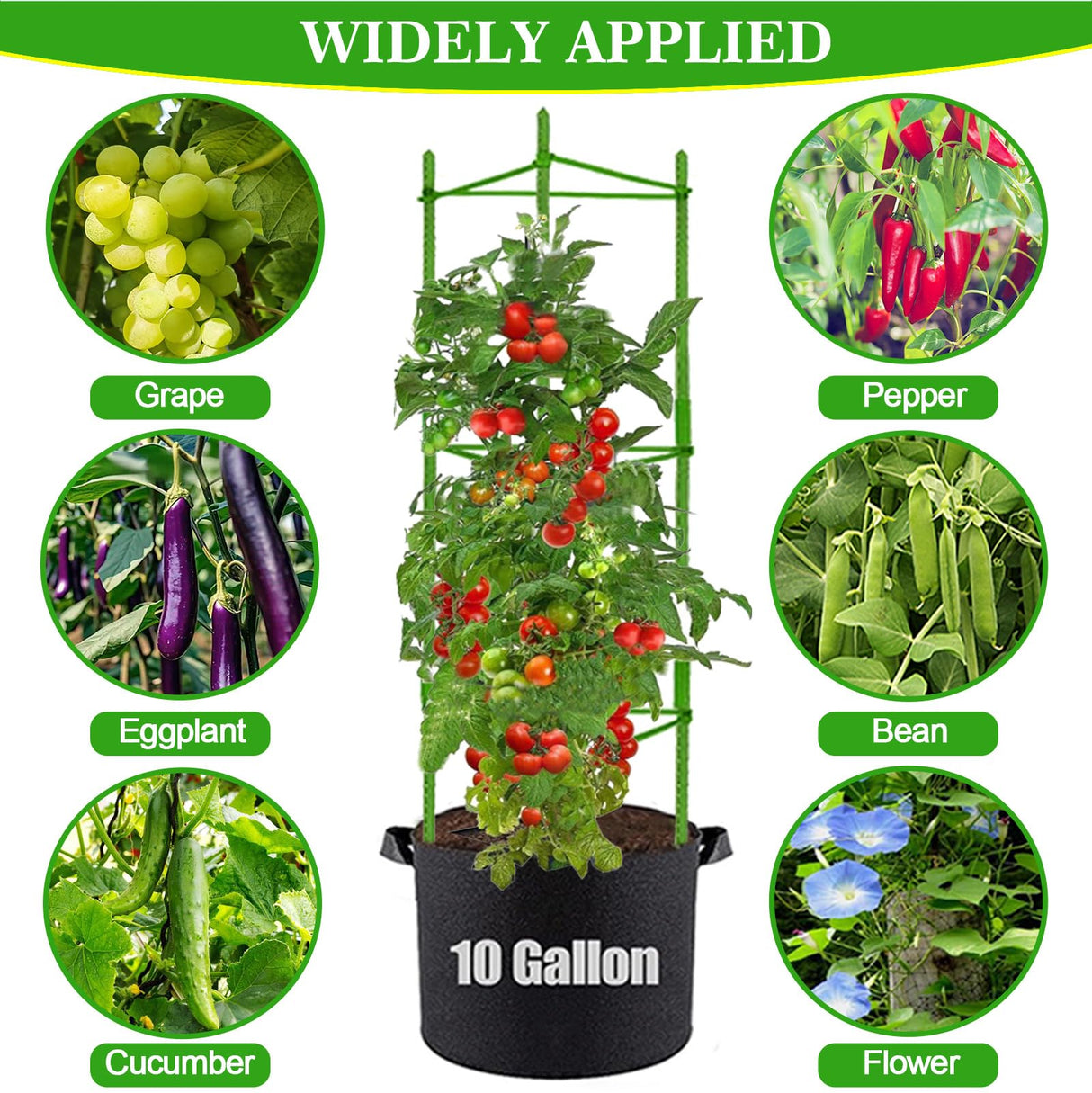 Moirsunt Tomato Cages with 10 Gallon Grow Bags, 48 Inches Tomato Planter
