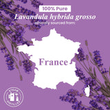 Handcraft Blends Lavender Essential Oil in Glass Bottle - Huge 16 Fl Oz - 100% Pure and Natural - Premium Grade Essential Oil for Diffuser and Aromatherapy, and DIY Soap Making