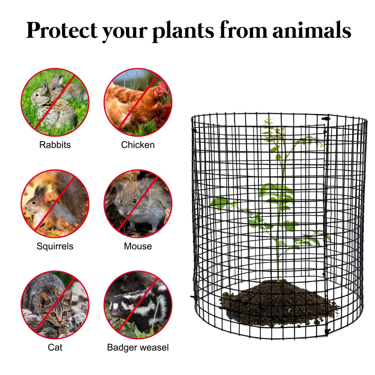 15 PCS Round Plant Protector from Animals, 5 Pack 12'' x 12'' Metal Plant Cages， Metal Mesh to Keep Animals Out, Garden Protection Bunny Barricades, Wire Plant Protectors for Rabbits Chicken Duck