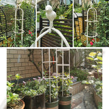 Garden Trellis for Climbing Plants, Rustproof Metal Pipe with Heavy Duty 6ft, Garden Outdoor Indoor Potted Plant Support（White）