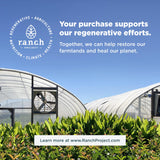 Ancient Nutrition Regenerative Organic Certified SuperFruits Capsules, Supports Gut and Immune System Health, Made with Probiotics, Dragonfruit, Mulberry, and Goji, 60 Count