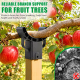 KJX 4 Pack Upgraded Tree Crutches, Fruit Tree Branch Supports