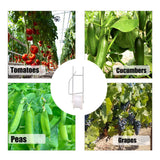 Greenhouse Trellising Kit 10PCS Plant Roller Hooks with 100PCS Tomato Support Clips for Tomato,Plant, Greenhouse,Flower Vine Twine Crop Trellis Kits