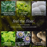 Hiyo Organic Social Tonic – Variety Pack, 12 Pack - N.A. Functional Seltzer, Sparkling Water Crafted with Organic Adaptogens, Nootropics & Botanicals