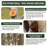 Tree Wound Sealer & Dressing, 500g Tree Pruning Sealer for Cut, Damaged Bark, Grafting – Effective Tree Repair Sealant for Shrub, Bonsai, Rose, Orchard | Horticulture Grade Seal Formula