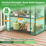 Mini Greenhouse for Indoor Outdoor: Ohuhu 23 x 19 x 75-Inch Small Plastic Plant Green House 5-Tier Rack Stand Portable Greenhouses with Durable PE Cover for Seedling, Ideal Gardening Gifts