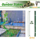 50Pcs 4ft Bamboo Sticks for Indoor Outdoor Plants, 0.29"-0.38" Natural Bamboo Poles, Durable Garden Stakes for Tomatoes, Beans, Flowers and Potted Plants