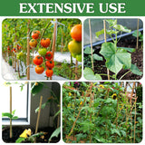 Plant Stakes, 4.8 FT Natural Bamboo Stakes Plant Support Stakes - 25Pcs