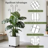 3 Set Tall Trellis for Potted Plants Indoor, 32'' Expandable Garden Metal Trellis for Climbing Plants Outdoor, Monstera Plant Support for Hoya, Vine, Ivy Pothos (Black)