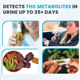 Exploro Highly Sensitive Marijuana Drug Test Kit, THC Drug Test Urine for Marijuana/Weed, Easy Home Drug Test Marijuana, THC Tests for Home for 50 ng/ml, THC Test Strips (Pack of 50)