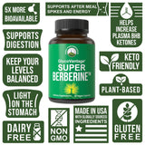 Super Berberine Supplement - Dihydroberberine GlucoVantage® Now 5X More Effective Than Regular Berberine HCL Powder Capsules. for Metabolism Support. Keto Friendly Plus Vegan Extract Pills