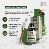 Beelife Organic Brazilian Green Propolis Extract - High Artepillin-C Levels, Antioxidant-Rich Supplement for Overall Wellness - Natural & Kosher- Organic Green Propolis Tincture, 1 Fl. Oz.