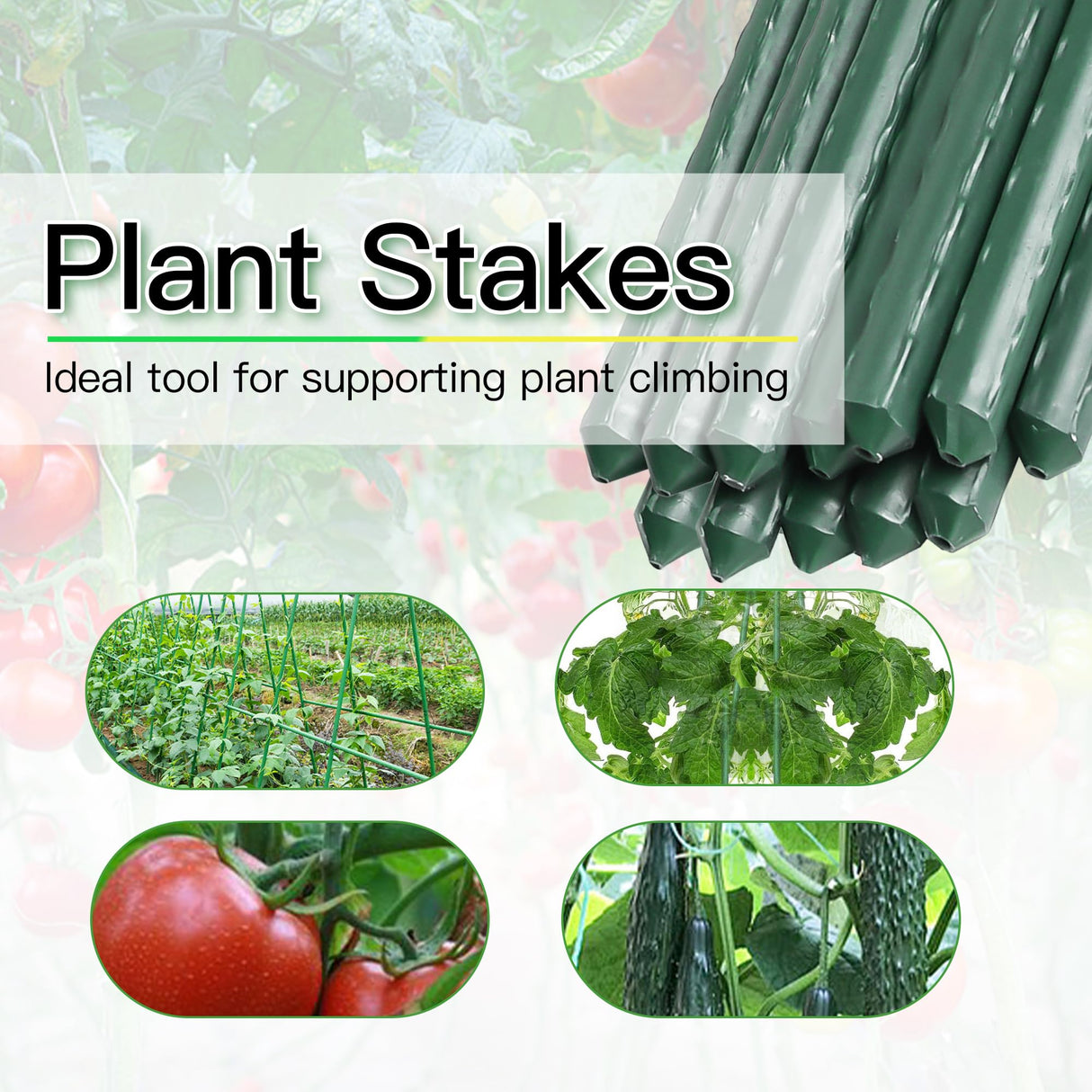 Garden Stakes 8ft, Metal Plant Stakes 8 Feet for Gardening and Farm, 0.78 Inch Dia Plastic Coated Plant Support for Tomato, Cucumber, Bean, Flower, Potted and More Climbing Plants 10 Pack
