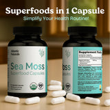 Atlantic Naturals Sea Moss Capsules with Moringa, Ashwagandha, Black Seed Oil, Ginger & Ginseng – Atlantic Sea Moss Supplements for Men and Women – for Daily Energy & Wellness Blend – 120 Count