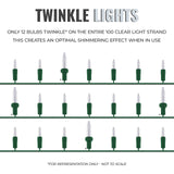 612 Vermont 100 Clear Incandescent Christmas Twinkle Lights on Green Wire