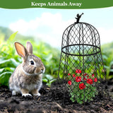 6 Pack Plant Protectors from Animals, Garden Cloches for Plants, Rustproof Chicken Wire Cloche Plant Cages to Keep Animals Out, Sturdy Metal Garden Cages for Outdoor Plants 13" D x 20" H